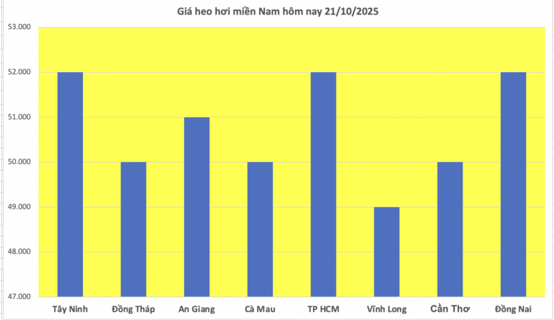 Giá heo hơi hôm nay 21/10/2025: Biến động trái chiều  - 3