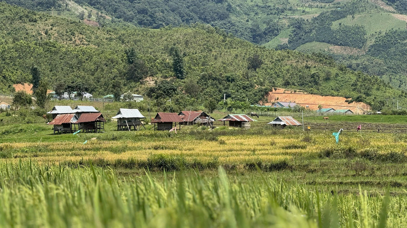 Làng Xốp Dùi giờ được biết đến là làng kinh tế kiểu mẫu giữa đại ngàn. Ảnh: Nguyễn Dương