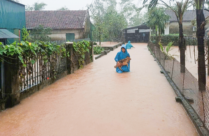 Sáng 1/11, trao đổi với Báo Công Thương, ông Đặng Văn Thành, Trưởng phòng Kinh tế xã Cẩm Duệ, tỉnh Hà Tĩnh cho biết, do mưa lớn nhiều ngày, đến sáng nay có 19/26 thôn của xã đã bị cô lập hoàn toàn