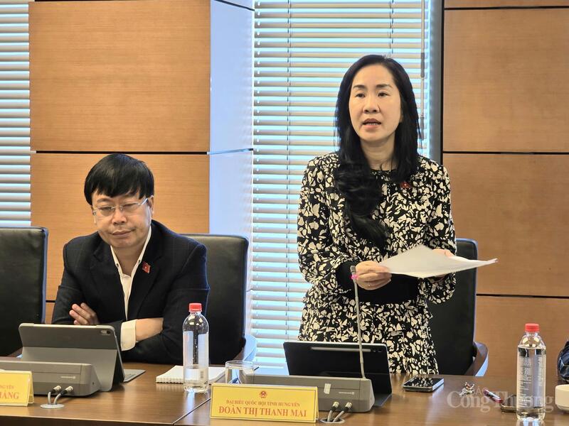 Đại biểu Đoàn Thị Thanh Mai - đoàn Hưng Yên