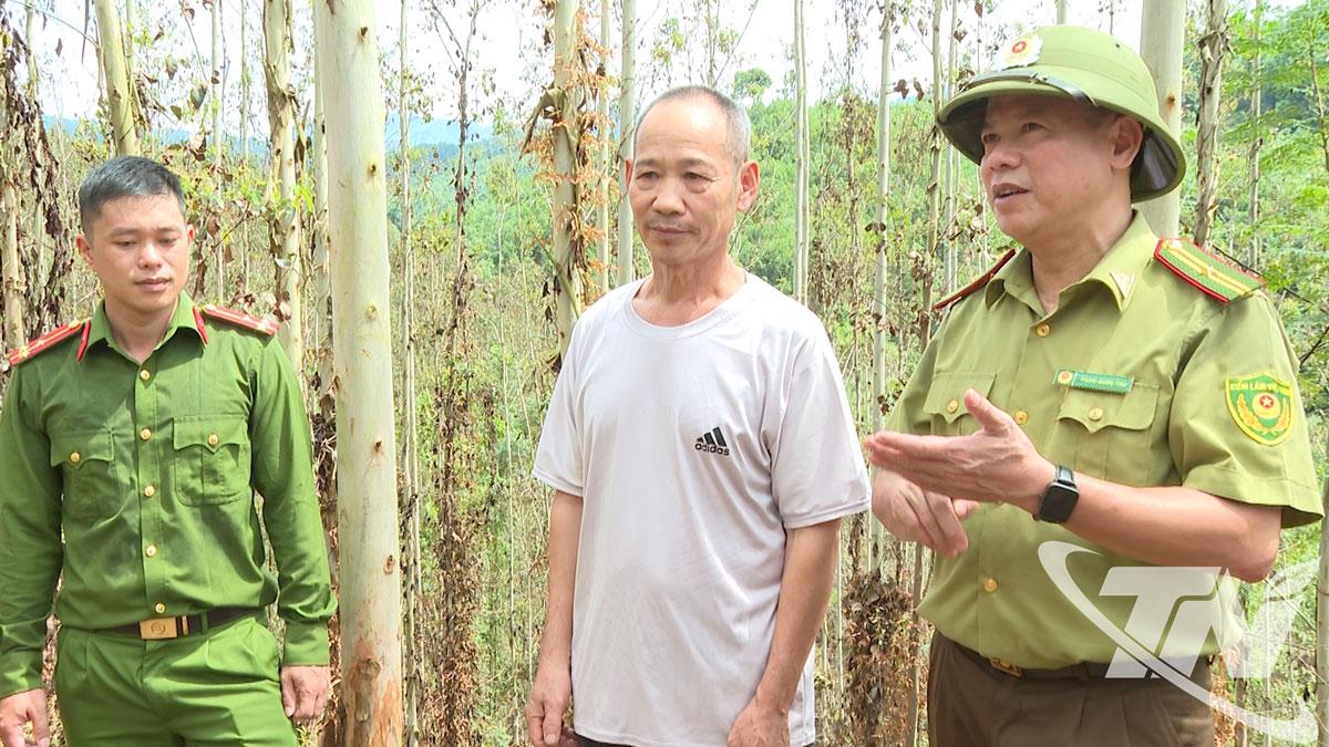 Ông Nông Văn Nhược (đứng giữa), xóm Bản Chương được cán bộ Hạt Kiểm lâm số 14 hướng dẫn xử lý thực bì sau khi khai thác gỗ.