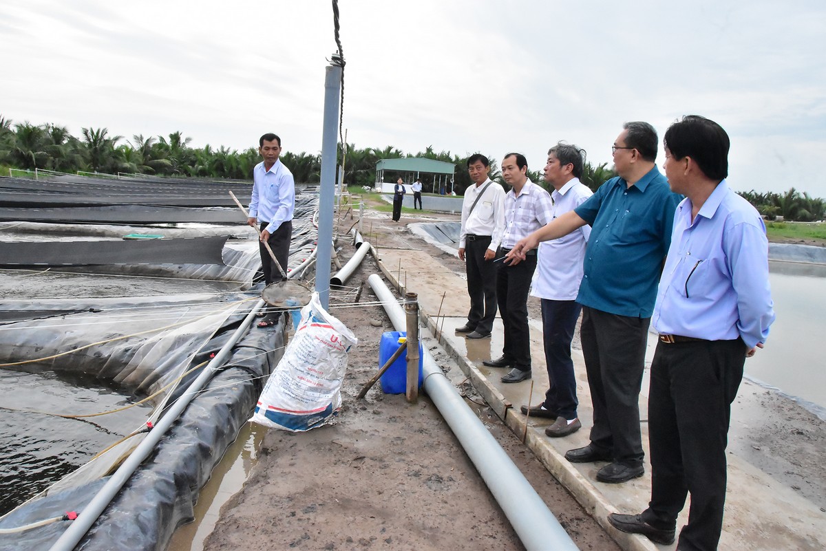 Đoàn công tác khảo sát trại ương dưỡng con giống tại xã Vinh Kim.