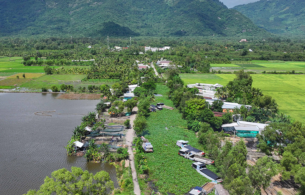 Tại con kênh Bến Xã, thuộc xã Ô Lâm có nhiều bến, bãi tập kết tầm vông hoạt động nhộn nhịp. Hằng ngày, nơi đây có khoảng 10 chiếc ghe chành mũi đỏ thu mua tầm vông của người dân vùng Bảy Núi. Nhờ cây tầm vông mà người dân có thu nhập ổn định, giải quyết việc làm cho nhiều người lao động ở địa phương.