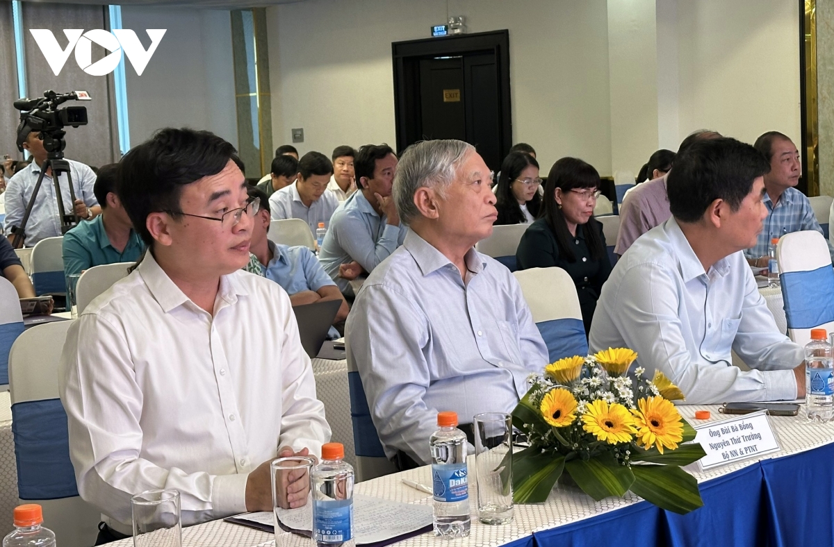 Đại biểu tham dự Hội nghị “Triển khai Quy trình MRV và Quy trình sản xuất lúa chất lượng cao, phát thải thấp vùng ĐBSCL”.