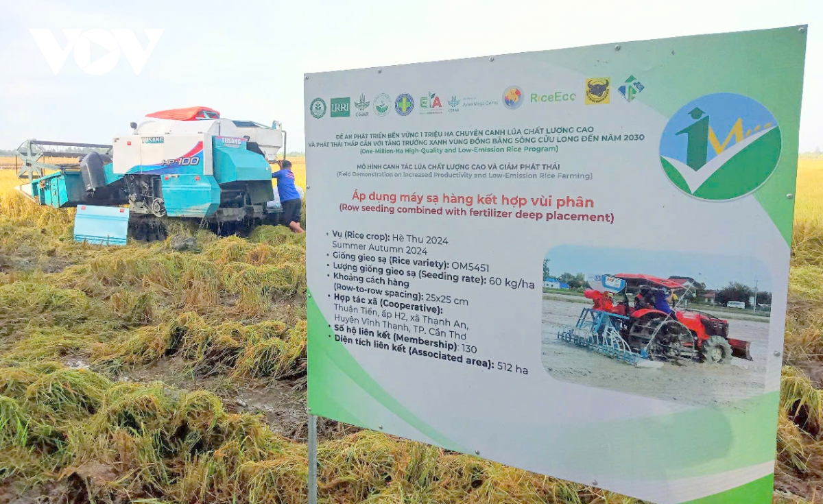 Đề án 1 triệu hecta lúa chất lượng cao, phát thải thấp ở ĐBSCL chính là hoàn thiện quy trình sản xuất bền vững.