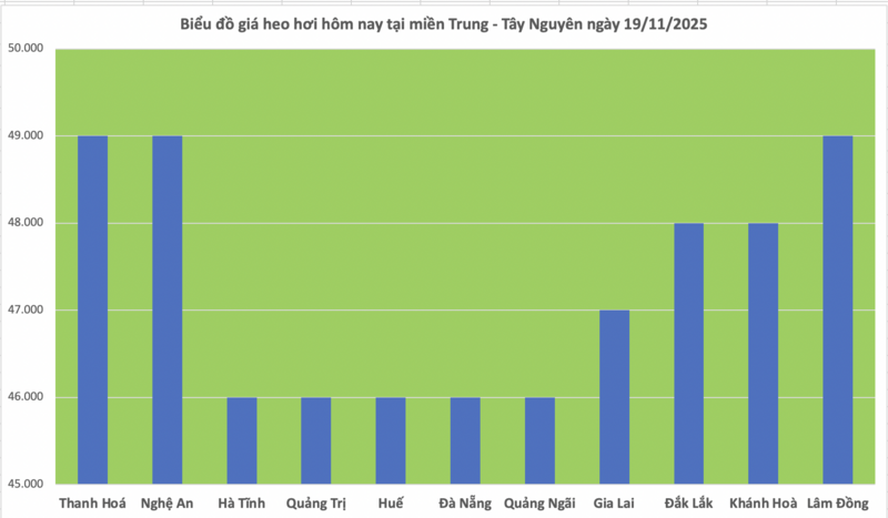 Giá heo hơi hôm nay 19/11/2025: Đồng loạt tăng - 2