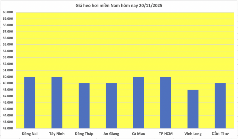 Giá heo hơi hôm nay 20/11/2025: Tiếp đà tăng giá - 3