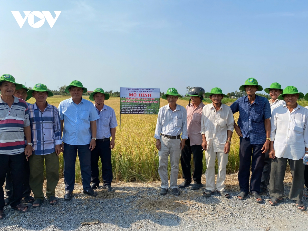 Các tập thể, cá nhân tham gia mô hình liên kết sản xuất lúa công nghệ cao, giảm phát thải tại xã Long Bình, tỉnh Đồng Tháp.