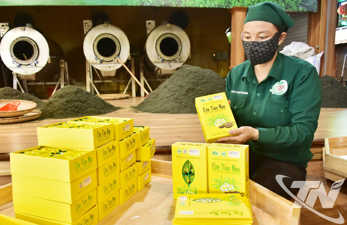 HTX chè Hảo Đạt sử dụng logo và nhãn hiệu tập thể “Chè Thái Nguyên” trên tất cả các sản phẩm chè đã được cơ quan quản lý cấp phép.