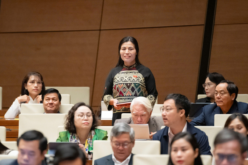 Đại biểu Hồ Thị Minh - đoàn đại biểu Quốc hội tỉnh Quảng Trị. Ảnh QH.