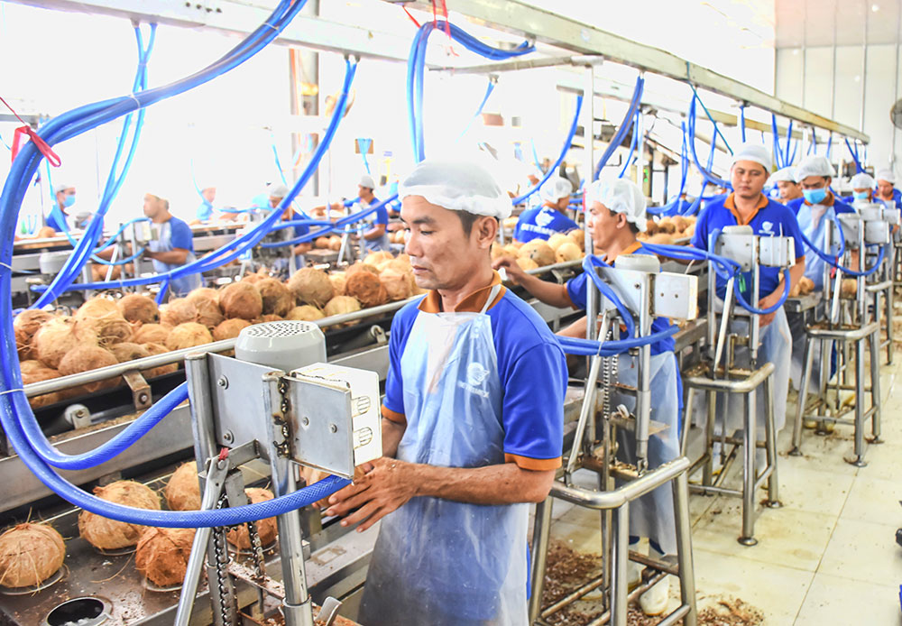 Dây chuyền sản xuất sản phẩm dừa tại Betrimex.