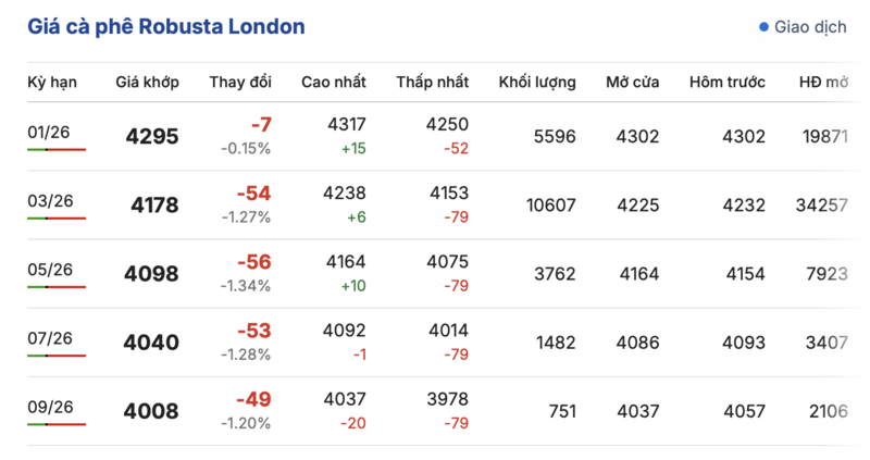 Giá cà phê hôm nay 6/12/2025: Phục hồi nhẹ - 1