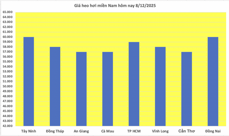 Giá heo hơi hôm nay 8/12/2025: Kéo dài đà tăng - 3