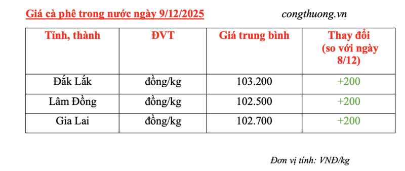Giá cà phê hôm nay 9/12/2025: Tăng nhẹ 200 đồng/kg - 4