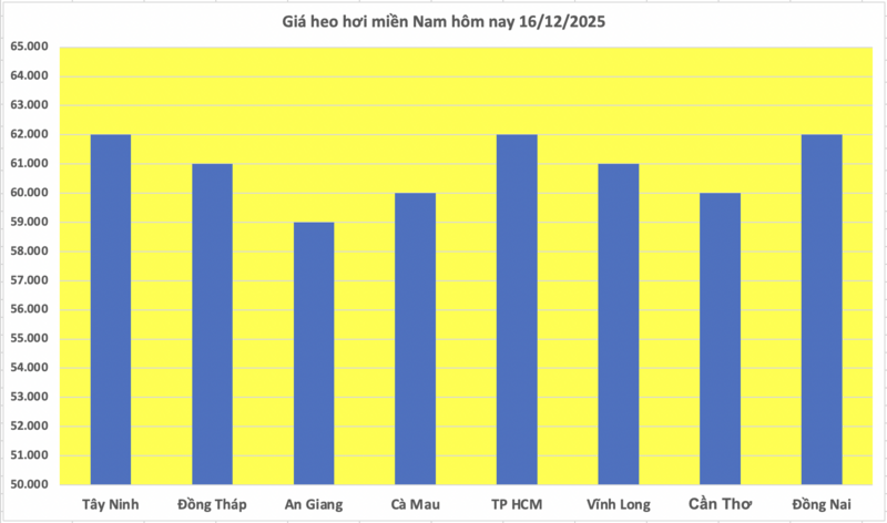 Giá heo hơi hôm nay 16/12/2025: Miền Trung tăng đến 4.000 đồng/kg - 3