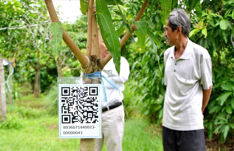 Ứng dụng công nghệ số là cần thiết trong thời đại hiện nay