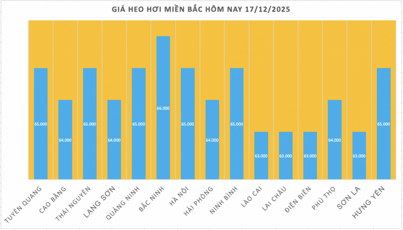 Giá heo hơi hôm nay 17/12/2025: Tiếp tục lập đỉnh mới 66.000 đồng/kg - 1