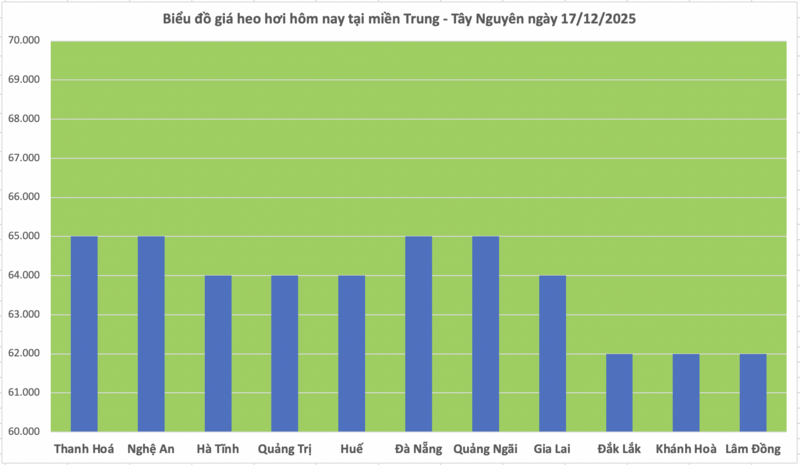 Giá heo hơi hôm nay 17/12/2025: Tiếp tục lập đỉnh mới 66.000 đồng/kg - 2