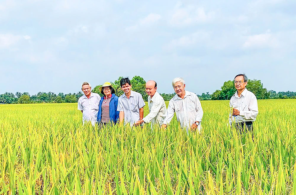 Kinh tế tập thể góp phần tích cực trong quá trình xây dựng NTM.