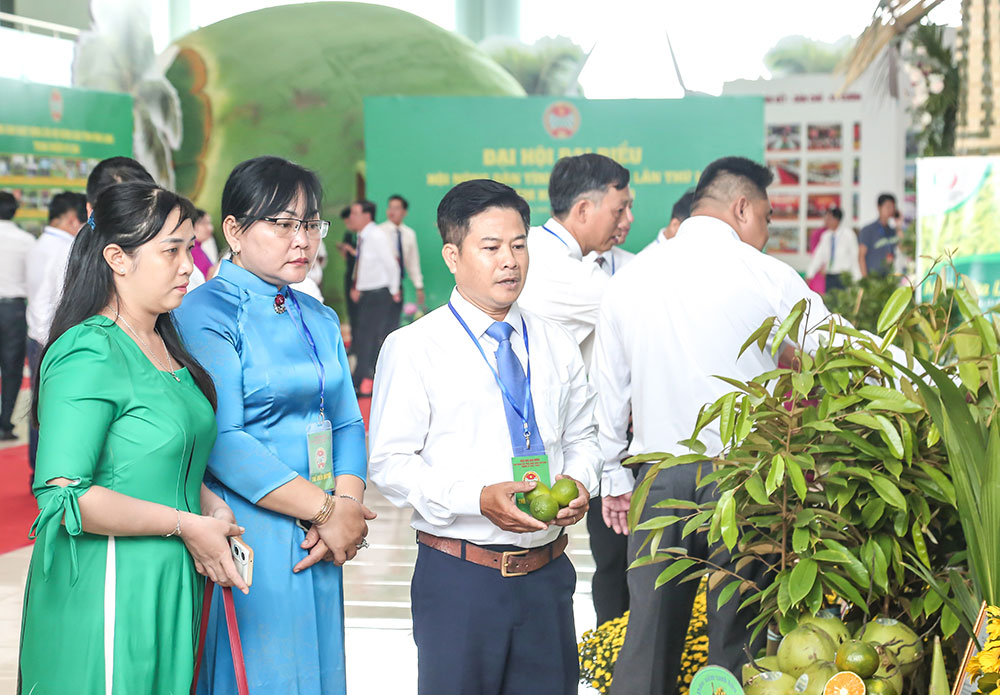 Sản phẩm của thành viên các HTX được trưng bày, quảng bá tại nhiều sự kiện lớn của tỉnh. Ảnh: NGUYỄN THỊNH