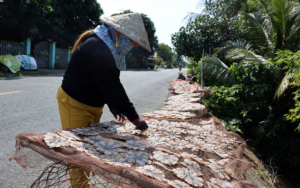 Một số hộ làm số lượng lớn cá khô để bán.