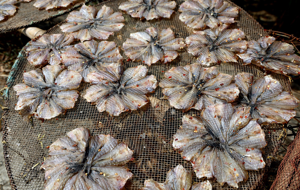 Khô cá chốt được xẻ ướp thịt, xếp khoanh tròn đẹp mắt.