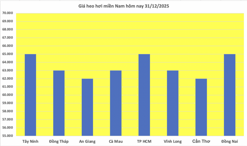 Giá heo hơi hôm nay 31/12/2025: Diễn biến trái chiều - 3