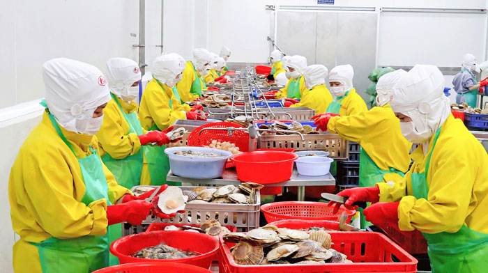 Tỉnh có lợi thế về vùng nguyên liệu nông- thủy sản thuận lợi cho phát triển công nghiệp chế biến; hợp tác giữa hai địa phương sẽ tạo nên chuỗi giá trị liên vùng, thúc đẩy tăng trưởng bền vững. Ảnh: Cẩm Trúc