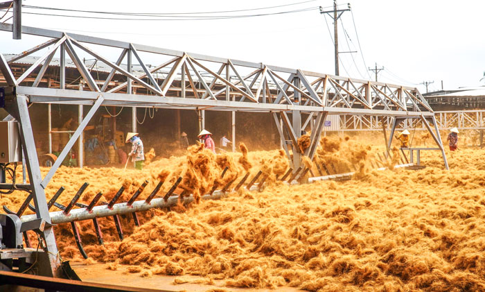 Dàn xới điện phơi chỉ xơ dừa tự động tại Công ty TNHH Dừa Nguyên Phát (xã Phú Thuận).