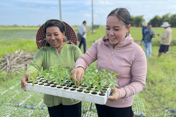 Chị Thạch Thị Phôi (trái) trao đổi kỹ thuật trồng màu với cán bộ nông nghiệp xã Ngũ Lạc.