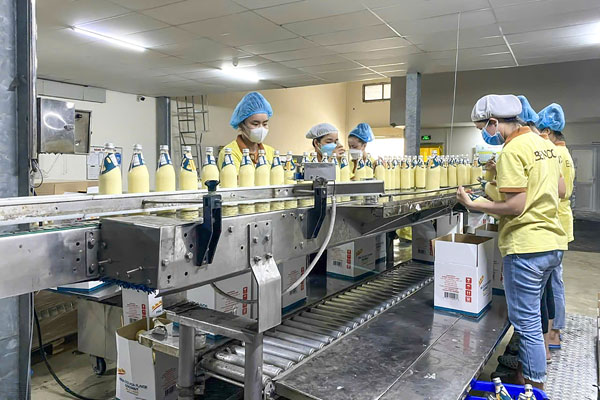 Sản xuất các sản phẩm xuất khẩu từ dừa. Ảnh: CẨM TRÚC