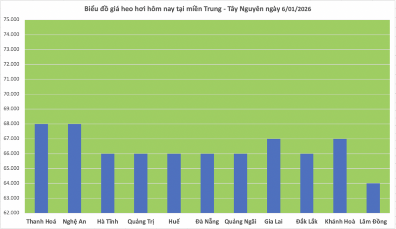 Giá heo hơi hôm nay 6/1/2026: Tăng 1.000 đồng  - 2