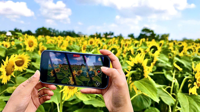 Ghi lại những khoảnh khắc đẹp. Ảnh: Nguyễn Dương