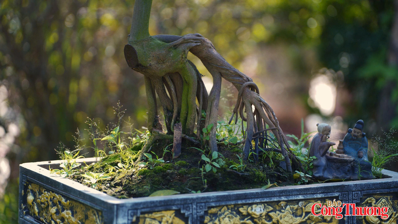 Bên cạnh những thân quất được tạo dáng, người trồng quất còn điểm thêm các bức tượng tạo thêm vẻ sinh động cho cây. Ảnh: Thái Mạnh