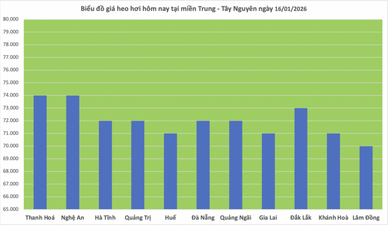 Giá heo hơi hôm nay 16/1/2026: Miền Trung, miền Nam tiếp tục tăng - 2