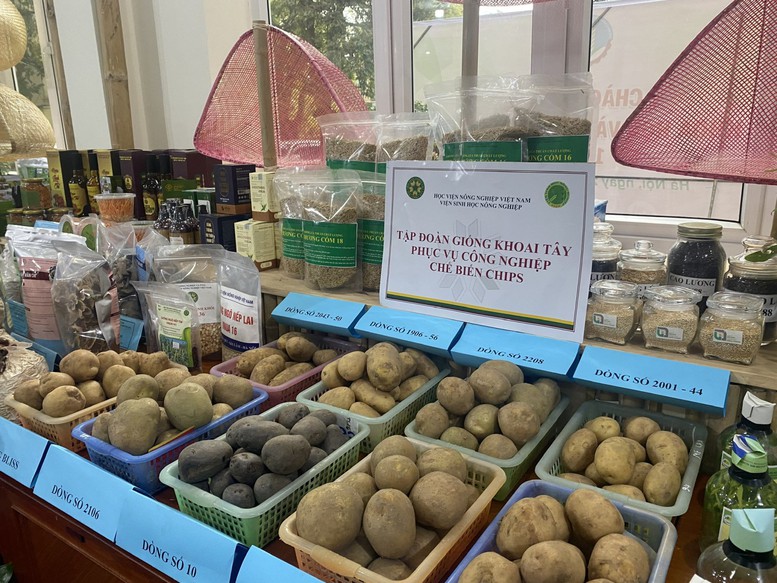 Nhiều giống mới được ra đời phục vụ cho các ngành hàng thực phẩm - Ảnh: VGP/Đỗ Hương