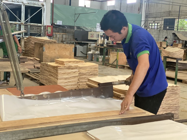 Các sản phẩm gỗ và lâm sản mang lại giá trị cao trong các sản phẩm xuất khẩu của ngành Nông nghiệp - Ảnh: VGP/Đỗ Hương