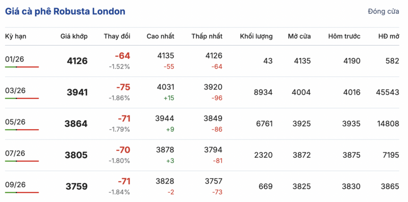 Giá cà phê hôm nay 21/1/2026: Tăng nhẹ 500 - 600 đồng/kg - 1