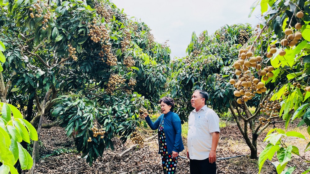 Nguồn vốn tín dụng chính sách xã hội đã đến với hàng triệu lượt hộ nghèo, hộ cận nghèo phát triển kinh tế.