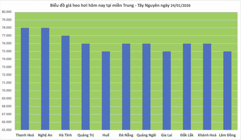 Giá heo hơi hôm nay 24/1/2026: Chạm mốc 80.000 đồng/kg - 2