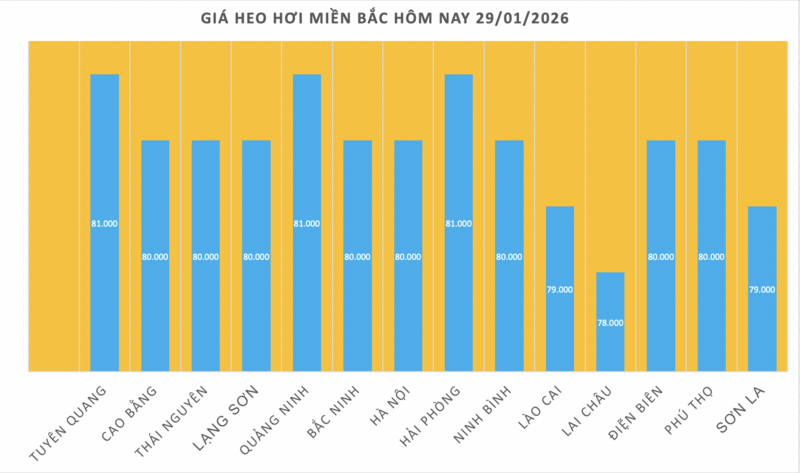 Giá heo hơi hôm nay 29/1/2026: Biến động trái chiều - 1