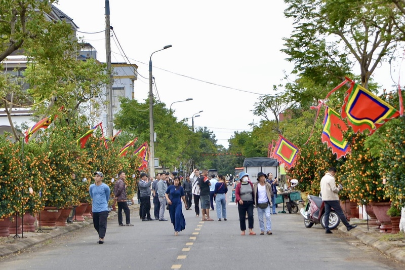 Ngày hội quật cảnh Cẩm Hà được tổ chức định kỳ vào mùng 10 tháng Chạp hằng năm, nhằm quảng bá thương hiệu quật cảnh Cẩm Hà, tôn vinh nghề trồng quật trên địa bàn phường Hội An Tây. Ảnh: Ngọc Thảo
