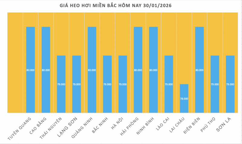 Giá heo hơi hôm nay 30/1/2026: Giảm 1.000 đồng/kg tại nhiều nơi - 1