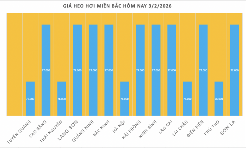 Giá heo hơi hôm nay 3/2/2026: Giảm mạnh trên cả nước - 1