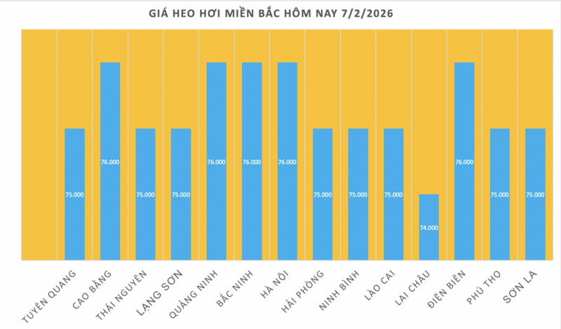 Giá heo hơi hôm nay 7/2/2026: Tiếp đà giảm tại miền Trung, miền Nam - 1