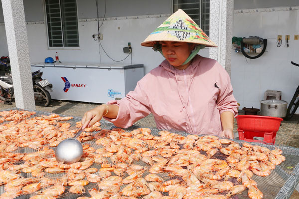 Chị Lê Thị Thu Trang phơi tôm khô phục vụ thị trường Tết.