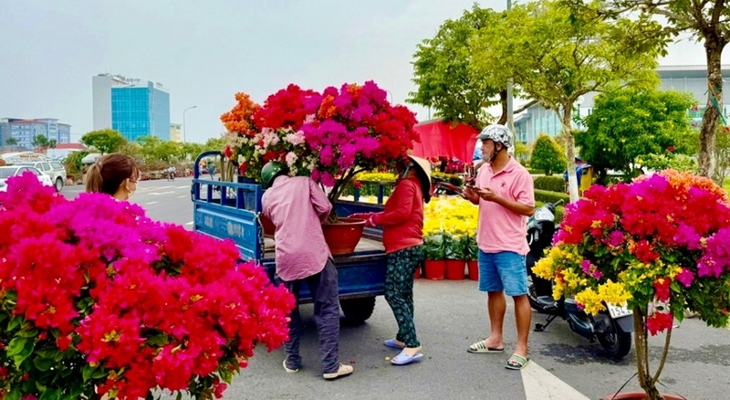 Nhộn nhịp khi các nhà vườn, tiểu thương đồng loạt đưa hoa, cây kiểng ra phố