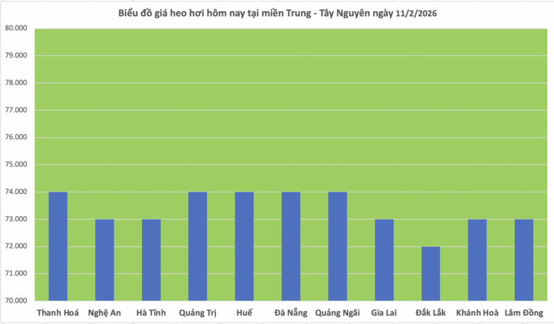 Giá heo hơi hôm nay 11/2/2026: Giảm đồng loạt trên cả nước - 2