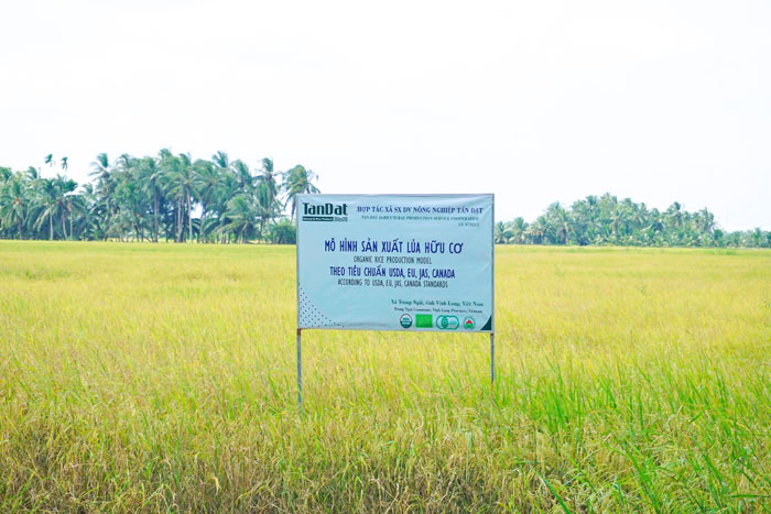 HTX đạt được các tiêu chuẩn quốc tế nhờ sản xuất “thuận thiên”. Ảnh: TRÀ MY