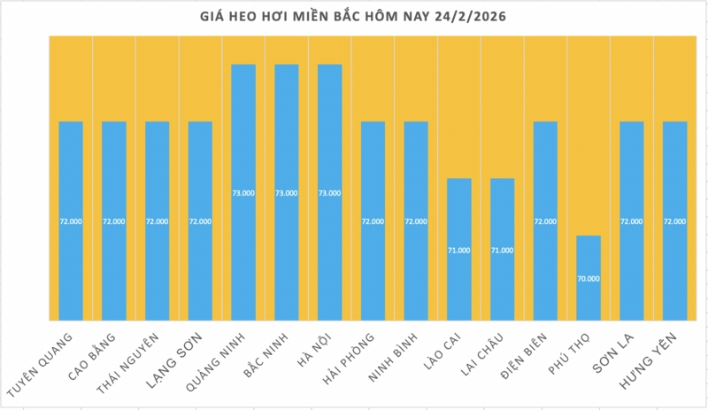 Giá heo hơi hôm nay 24/2/2026: Giảm vài nơi tại miền Trung và miền Nam - 1